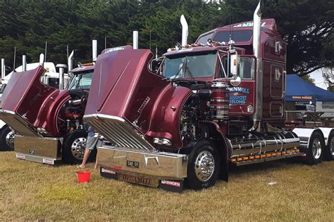 UTE SHOW .